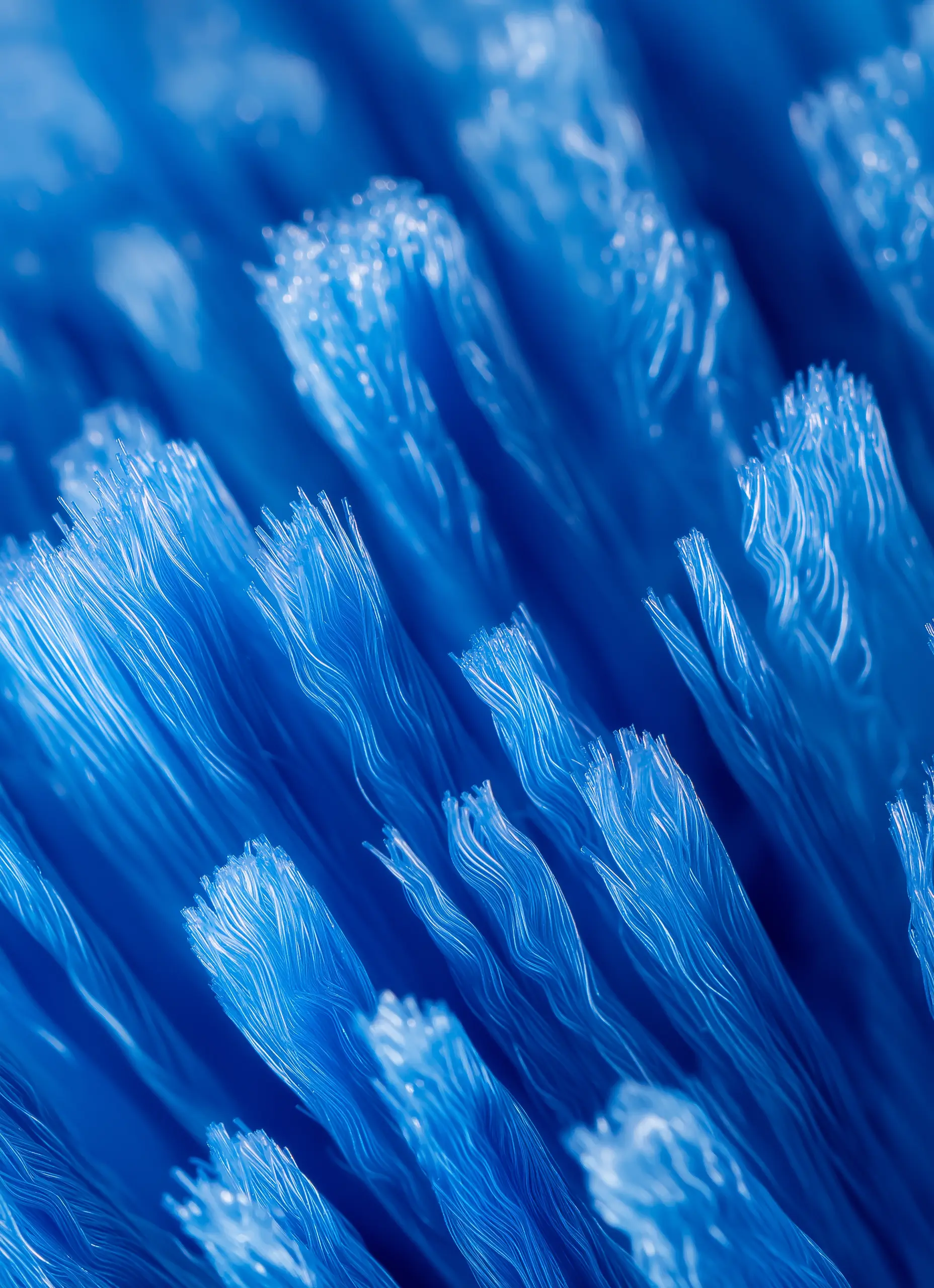 Polypropylene